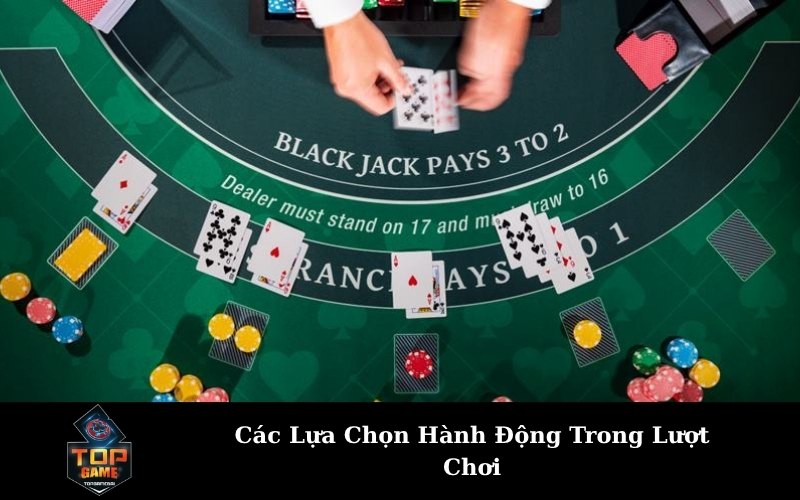 Các Lựa Chọn Hành Động Trong Lượt Chơi