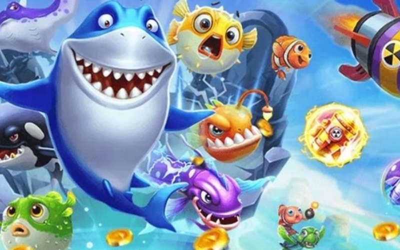 Cách xác định cá có giá trị cao