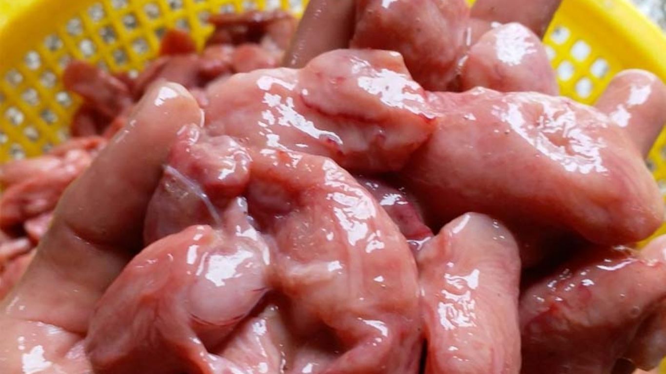 bao tử cá ba sa tươi ngon